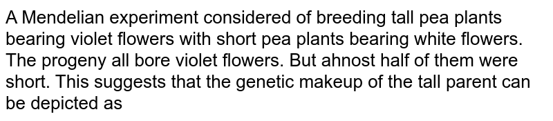 a mendelian experiment consisted of breeding pea plant bearing violet