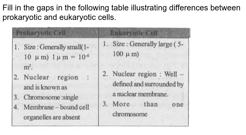eukaryotic and prokaryotic cells differences