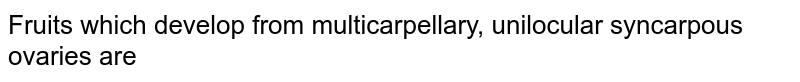 Fruits which develop from multicarpellary, unilocular syncarpous ovaries are