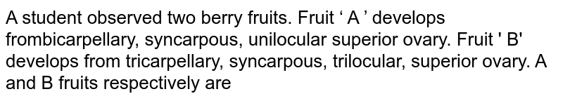 A student observed two berry fruits. Fruit ‘ A ’ develops frombicarpellary, syncarpous, unilocular superior ovary. Fruit ' B' develops from tricarpellary, syncarpous, trilocular, superior ovary. A and B fruits respectively are