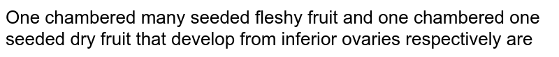 One chambered many seeded fleshy fruit and one chambered one seeded dry fruit that develop from inferior ovaries respectively are