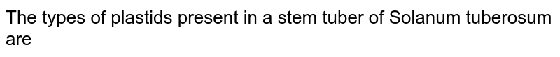 The types of plastids present in a stem tuber of Solanum tuberosum are
