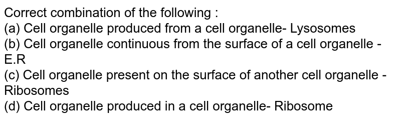 Correct combination of the following : (a) Cell organelle produced from a cell organelle- Lysosomes (b) Cell organelle continuous from the surface of a cell organelle - E.R (c) Cell organelle present on the surface of another cell organelle - Ribosomes (d) Cell organelle produced in a cell organelle- Ribosome