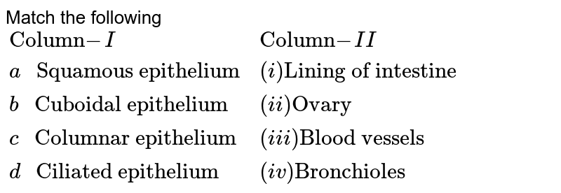 Match the following {:("Column" -I, "Column" -II),(a " Squamous epithelium", (i) "Lining of intestine"),(b " Cuboidal epithelium",(ii) "Ovary"),(c " Columnar epithelium", (iii) "Blood vessels"),(d " Ciliated epithelium", (iv) "Bronchioles"):}