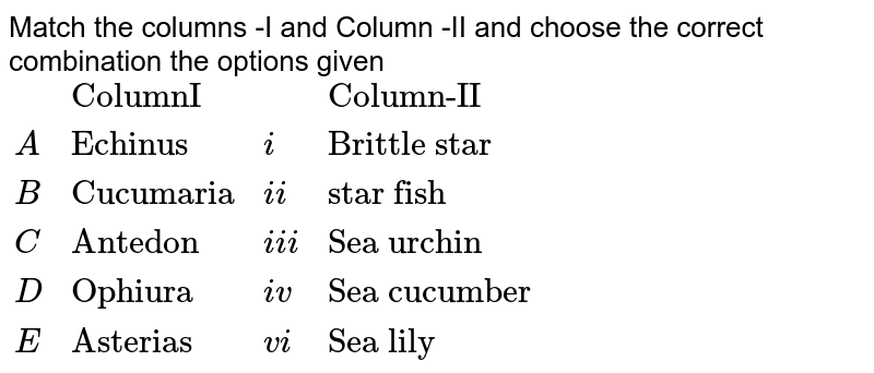 Match the columns -I and Column -II and choose the correct combination the options given {:("","ColumnI","","Column-II"),(A,"Echinus",i,"Brittle star"),(B,"Cucumaria",ii,"star fish"),(C,"Antedon",iii,"Sea urchin"),(D,"Ophiura",iv,"Sea cucumber"),(E,"Asterias",vi,"Sea lily"):}