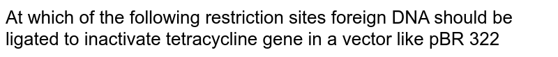 At which of the following restriction sites foreign DNA should be ligated to inactivate tetracycline gene in a vector like pBR 322