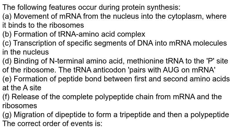 mRNA formation takes place in- a Cytoplalsm b Ribosome c Nucleus