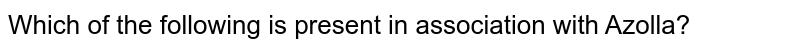 Which of the following is present in association with Azolla?