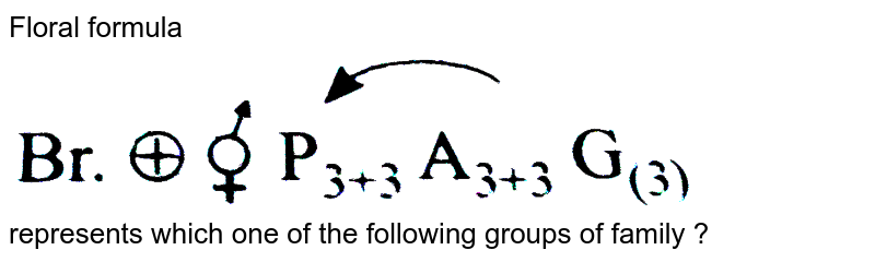 Floral formula represents which one of the following groups of family ?