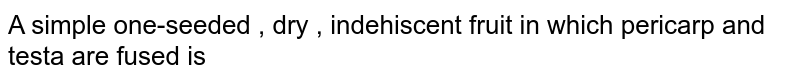 A simple one-seeded , dry , indehiscent fruit in which pericarp and testa are fused is