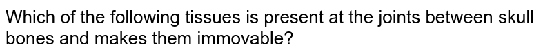 Which of the following tissues is present at the joints between skull bones and makes them immovable?