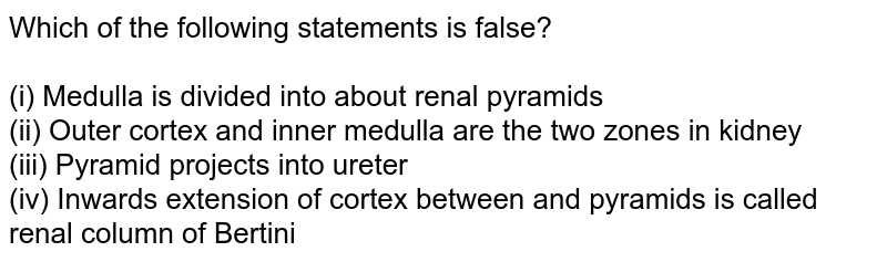 Which of the following statements is false? <br> <br> (i) Medulla is divided into about renal pyramids <br> (ii) Outer cortex and inner medulla are the two zones in kidney <br> (iii) Pyramid projects into ureter <br> (iv) Inwards extension of cortex between and pyramids is called renal column of Bertini 