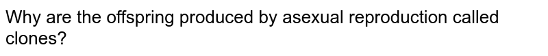 Why are the offspring produced by asexual reproduction called clones?