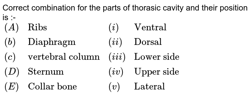 Correct combination for the parts of thorasic cavity and their position is :- {:((A),"Ribs",(i),"Ventral"),((b),"Diaphragm",(ii),"Dorsal"),((c),"vertebral column",(iii),"Lower side"),((D),"Sternum",(iv),"Upper side"),((E),"Collar bone",(v),"Lateral"):}