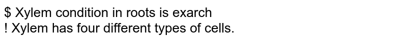 $ Xylem condition in roots is exarch <br> ! Xylem has four different types of cells. 