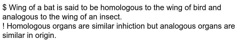 $ Wing of a bat is said to be homologous to the wing of bird and analogous to the wing of an insect. ! Homologous organs are similar inhiction but analogous organs are similar in origin.
