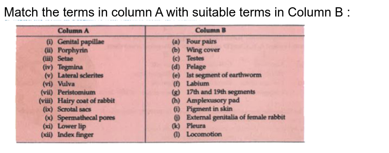 Match the terms in column A with suitable terms in Column B : <br> <img src="https://d10lpgp6xz60nq.cloudfront.net/physics_images/MOD_BBA_BIO_XI_P1_C07_E06_171_Q01.png" width="80%">
