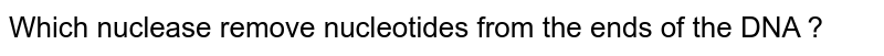 Which nuclease remove nucleotides from the ends of the DNA ?