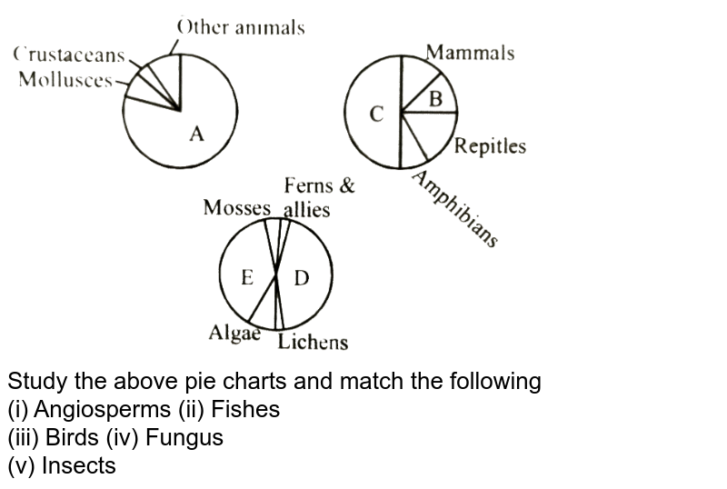 Study the above pie charts and match the following (i) Angiosperms (ii) Fishes (iii) Birds (iv) Fungus (v) Insects
