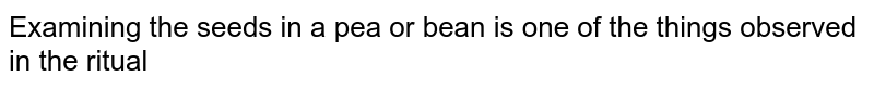 Examining the seeds in a pea or bean is one of the things observed in the ritual