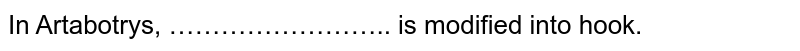 In Artabotrys, ....... is modified into hook.