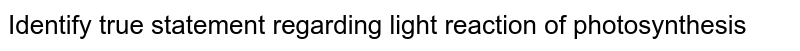 Identify true statement regarding light reaction of photosynthesis ?