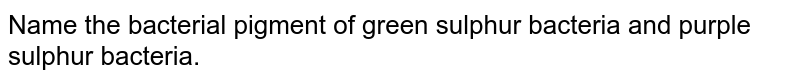 Name the bacterial pigment of green sulphur bacteria and purple sulphur bacteria.