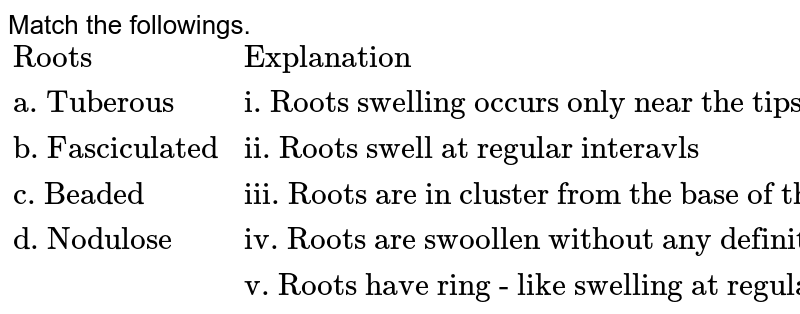 Match the followings. {:("Roots","Explanation"),("a. Tuberous","i. Roots swelling occurs only near the tips"),("b. Fasciculated","ii. Roots swell at regular interavls"),("c. Beaded","iii. Roots are in cluster from the base of the stem"),("d. Nodulose","iv. Roots are swoollen without any definite shape"),(,"v. Roots have ring - like swelling at regula intervals"):}