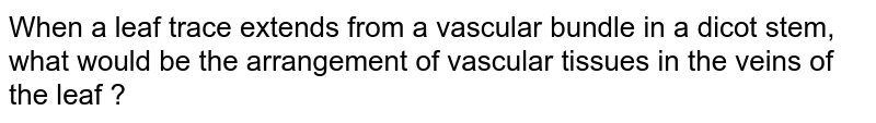 When a leaf trace extends from a vascular bundle in a dicot stem, what would be the arrangement of vascular tissues in the veins of the leaf ?