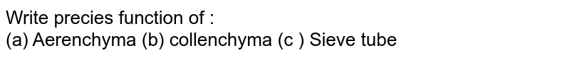Write precies function of : <br> (a) Aerenchyma (b) collenchyma (c ) Sieve tube 