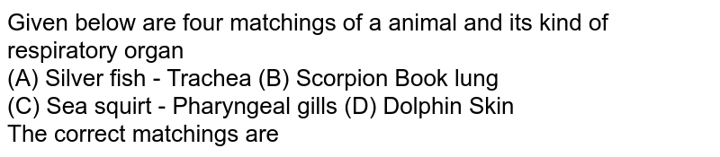 Given below are four matchings of a animal and its kind of respiratory organ (A) Silver fish - Trachea (B) Scorpion Book lung (C) Sea squirt - Pharyngeal gills (D) Dolphin Skin The correct matchings are