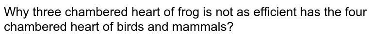 Why three chambered heart of frog is not as efficient has the four chambered heart of birds and mammals?