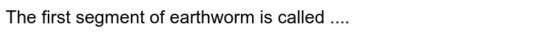 The first segment of earthworm is called ....