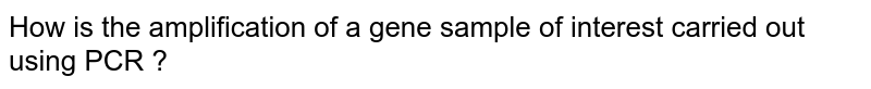 (b) How is the amplification of a gene sample of interest carried out using PCR?