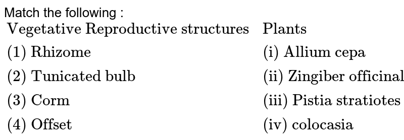Match the following : {:("Vegetative Reproductive structures","Plants"),("(1) Rhizome","(i) Allium cepa"),("(2) Tunicated bulb","(ii) Zingiber officinale"),("(3) Corm","(iii) Pistia stratiotes"),("(4) Offset","(iv) colocasia"):}
