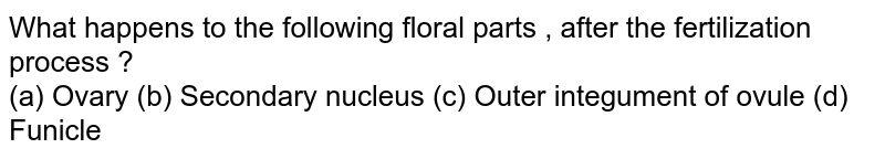 What happens to the following floral parts , after the fertilization process ? (a) Ovary (b) Secondary nucleus (c) Outer integument of ovule (d) Funicle