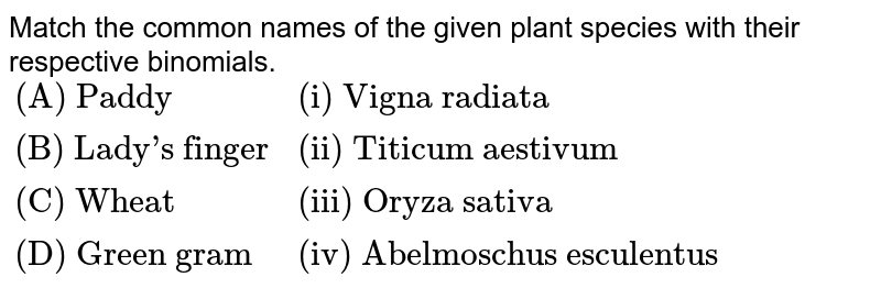 Match the common names of the given plant species with their respective binomials. {:("(A) Paddy","(i) Vigna radiata"),("(B) Lady's finger","(ii) Titicum aestivum"),("(C) Wheat","(iii) Oryza sativa"),("(D) Green gram","(iv) Abelmoschus esculentus"):}