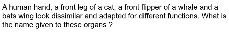 A human hand, a front leg of a cat, a front flipper of a whale and a bat's wing look dissimilar and adapted for different functions. What is the name givan to these organs ?