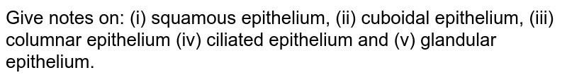 Give notes on: (i) squamous epithelium, (ii) cuboidal epithelium, (iii) columnar epithelium (iv) ciliated epithelium and (v) glandular epithelium.