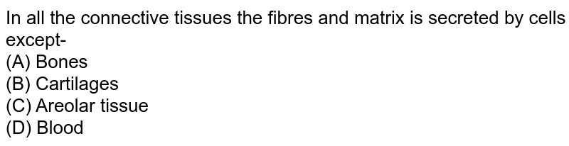 In all the connective tissues the fibres and matrix is secreted by cells except- (A) Bones (B) Cartilages (C) Areolar tissue (D) Blood