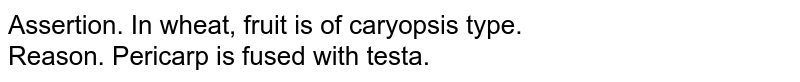 Assertion. In wheat, fruit is of caryopsis type. Reason. Pericarp is fused with testa.