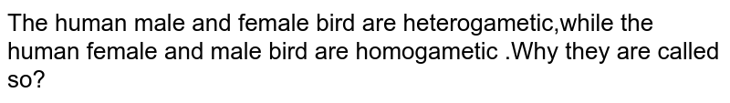 The human male and female bird are heterogametic,while the human female and male bird are homogametic .Why they are called so?