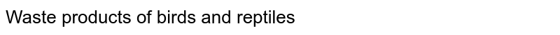 Waste products of birds and reptiles