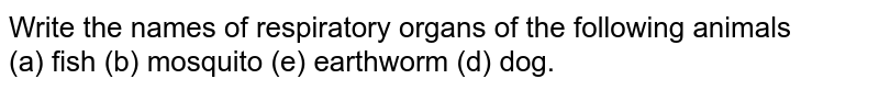Write the names of respiratory organs of the following animals (a) fish (b) mosquito (e) earthworm (d) dog.