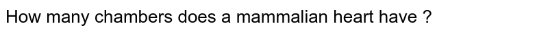 How many chambers does a mammalian heart have ?