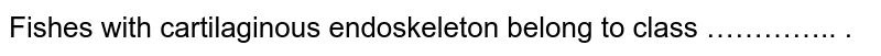 Fishes with cartilaginous endoskeleton belong to class ………….. .