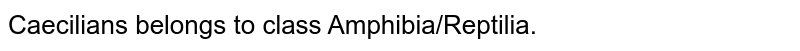 Caecilians belongs to class Amphibia/Reptilia.
