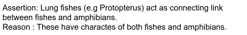 Assertion: Lung fishes (e.g Protopterus) act as connecting link between fishes and amphibians. Reason : These have charactes of both fishes and amphibians.