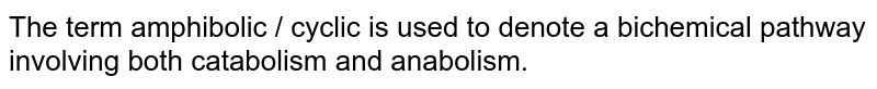 The term amphibolic / cyclic is used to denote a bichemical pathway involving both catabolism and anabolism.