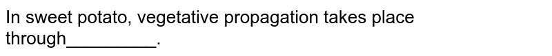 In sweet potato, vegetative propagation takes place through_________.